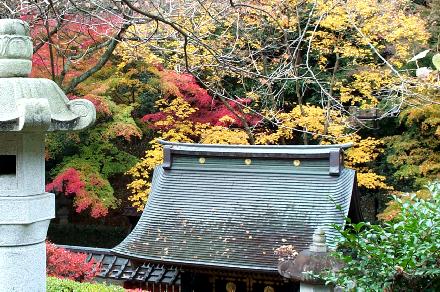 Autumn leaves at Masamune Date's tomb