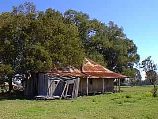 Old hut on the way to Grafton.