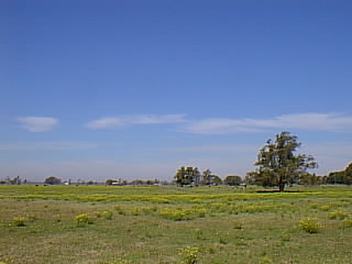View on the way to Grafton.