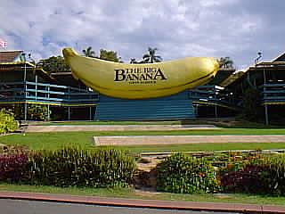 Big Banana at Coffs Harbour