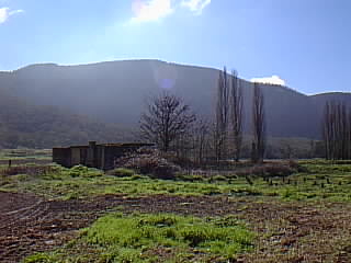 Ruins at Glen Davis