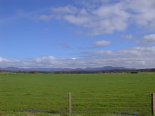 View near Moruya