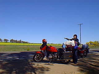 Roadside view of Canola fields